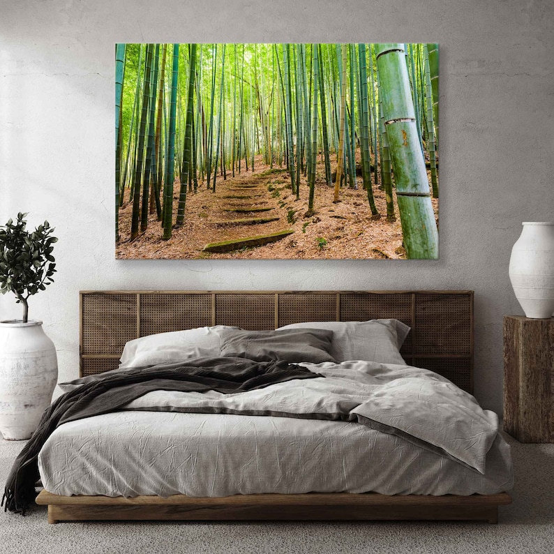 Puede incluir: Una fotograf&iacute;a de un sendero a trav&eacute;s de un bosque de bamb&uacute;. El sendero est&aacute; hecho de escalones de piedra y conduce hacia arriba de una colina. Los tallos de bamb&uacute; son altos y verdes, y la luz del sol se filtra a trav&eacute;s de las hojas.