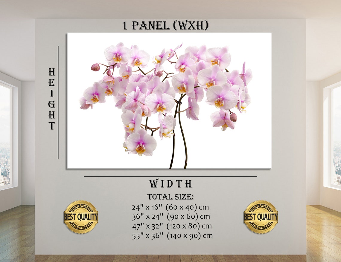 White Orchid Wall Art Orchid Wall Decor Orchid Canvas Print Etsy