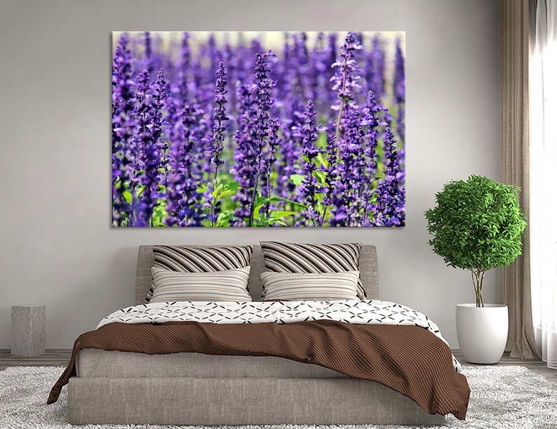 May include: A close-up photograph of a field of purple lavender flowers. The flowers are in full bloom and the image is taken from a low angle, giving the viewer a sense of being surrounded by the flowers.