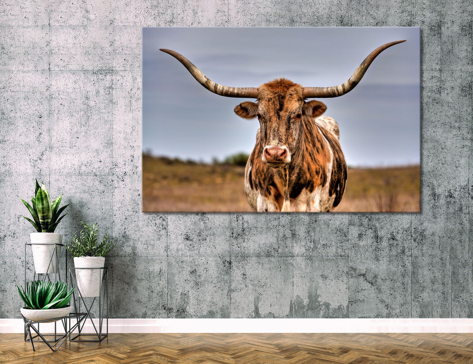 Texas Longhorn Wall ArtTexas Longhorn Canvas Extra Large Wall Etsy