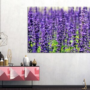 May include: A field of purple lavender flowers in bloom. The flowers are tall and slender, with delicate purple blooms. The background is a soft blur of green and purple.