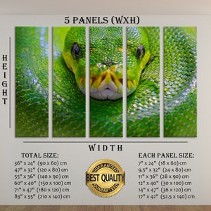 May include: A five-panel canvas print featuring a close-up of a green snake with its head wrapped around its body. The snake's scales are visible and the print has a textured look. The print is available in various sizes, with the total size ranging from 90 cm by 60 cm to 210 cm by 140 cm. Each panel is also available in different sizes, ranging from 18 cm by 60 cm to 52.5 cm by 140 cm.
