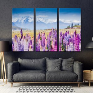 May include: A panoramic view of a field of purple and pink lupin flowers in bloom. The flowers are in the foreground, with snow-capped mountains in the background. The sky is blue and clear.