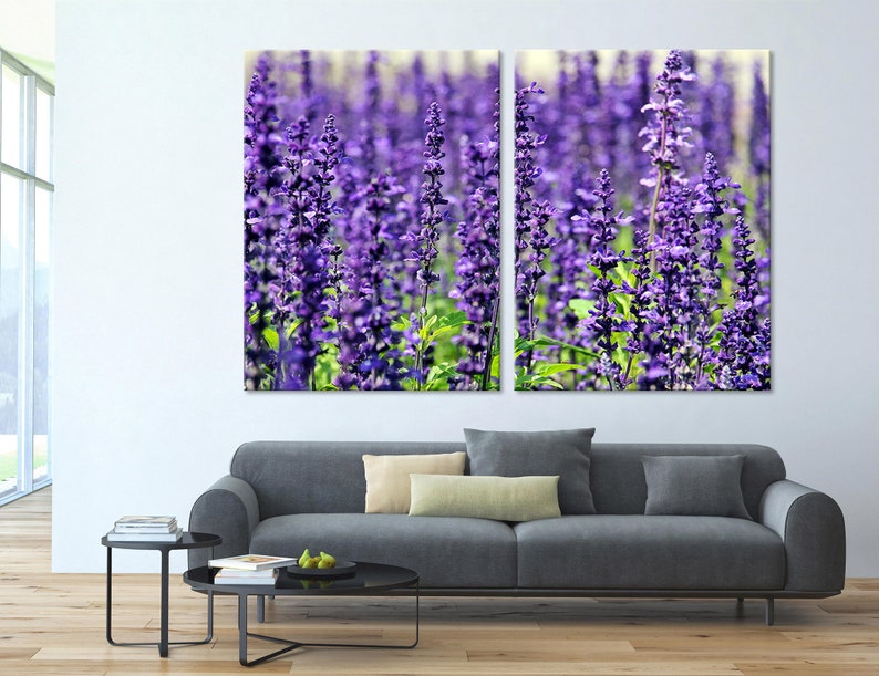 May include: A close-up of a field of purple lavender flowers. The flowers are in full bloom and the field is lush and green.