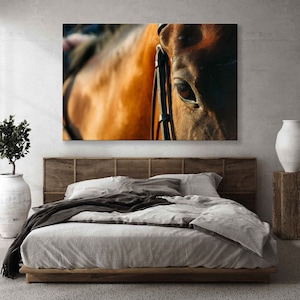Horse Eye Wall Art, Horse Lover Gift, Horse Canvas Print, Horse Racing Enthusiast Present, Bay Racehorse Poster, Animal Wall Decor