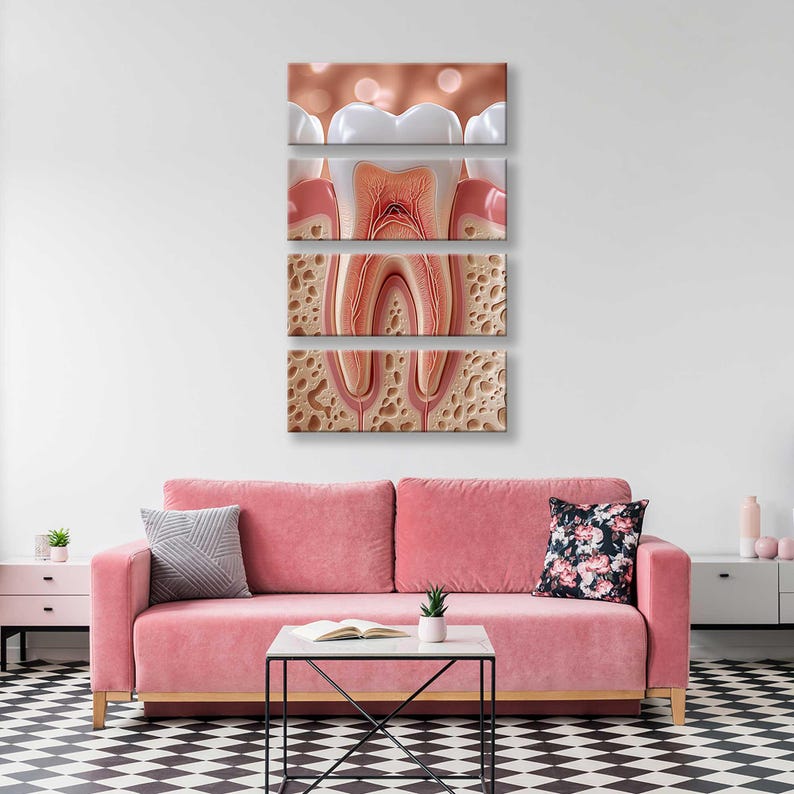 Dental Anatomy Canvas Print Structure of the Tooth Wall Poster