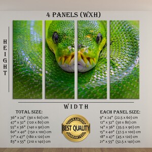 May include: A close-up of a green snake's head with a textured green body. The image is divided into four panels, with the snake's head spanning across the center two panels. The image is labelled "4 Panels (WxH)" and includes a size chart for the total size and each panel size in inches and centimetres.