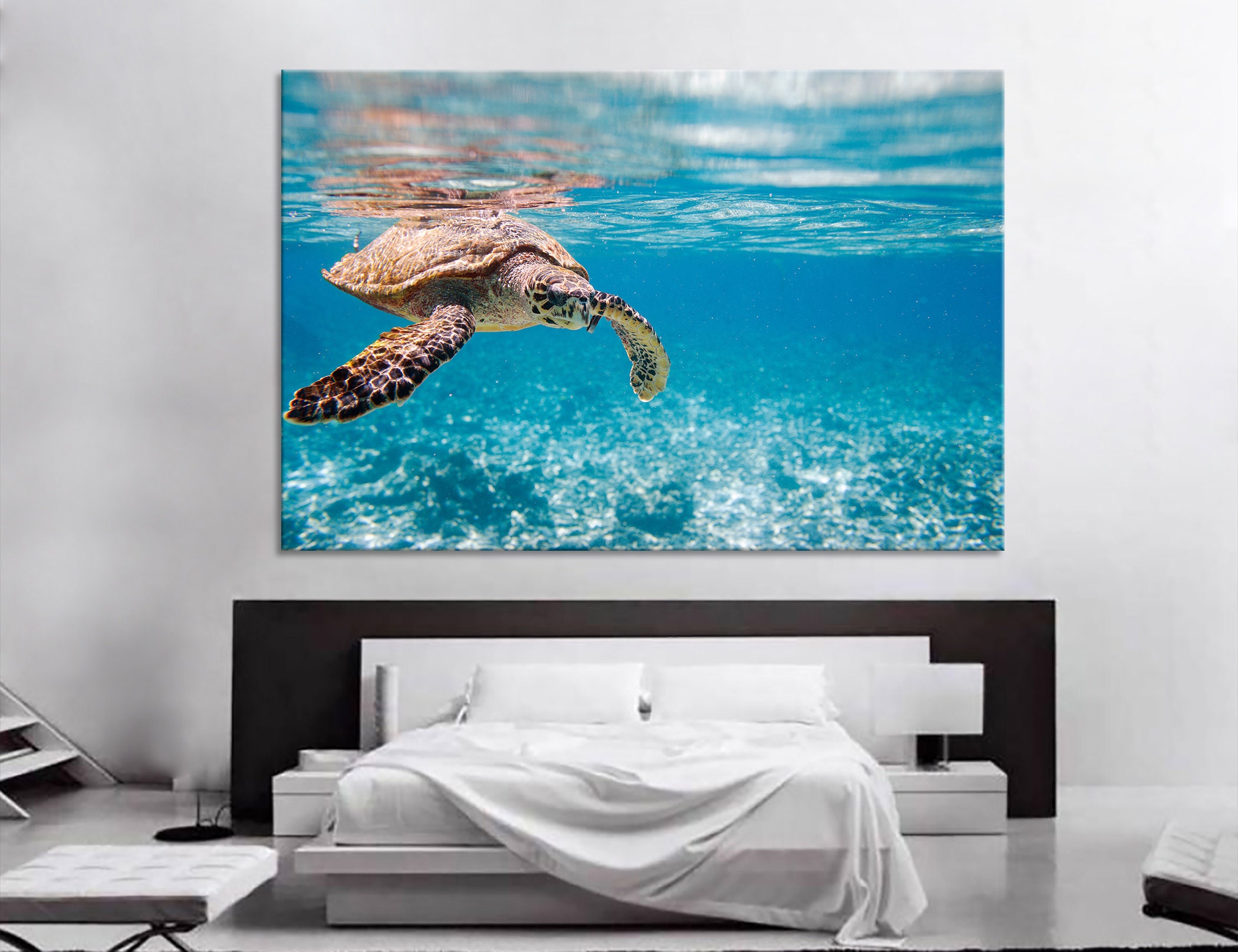 hawksbill-sea-turtle-swimming-turtle-pictures-turtle-print-turtle