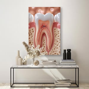 Stampa su tela di anatomia dentale - Poster da parete sulla struttura del dente - Arte di ortodontista e chirurgo orale - Decorazione clinica medica