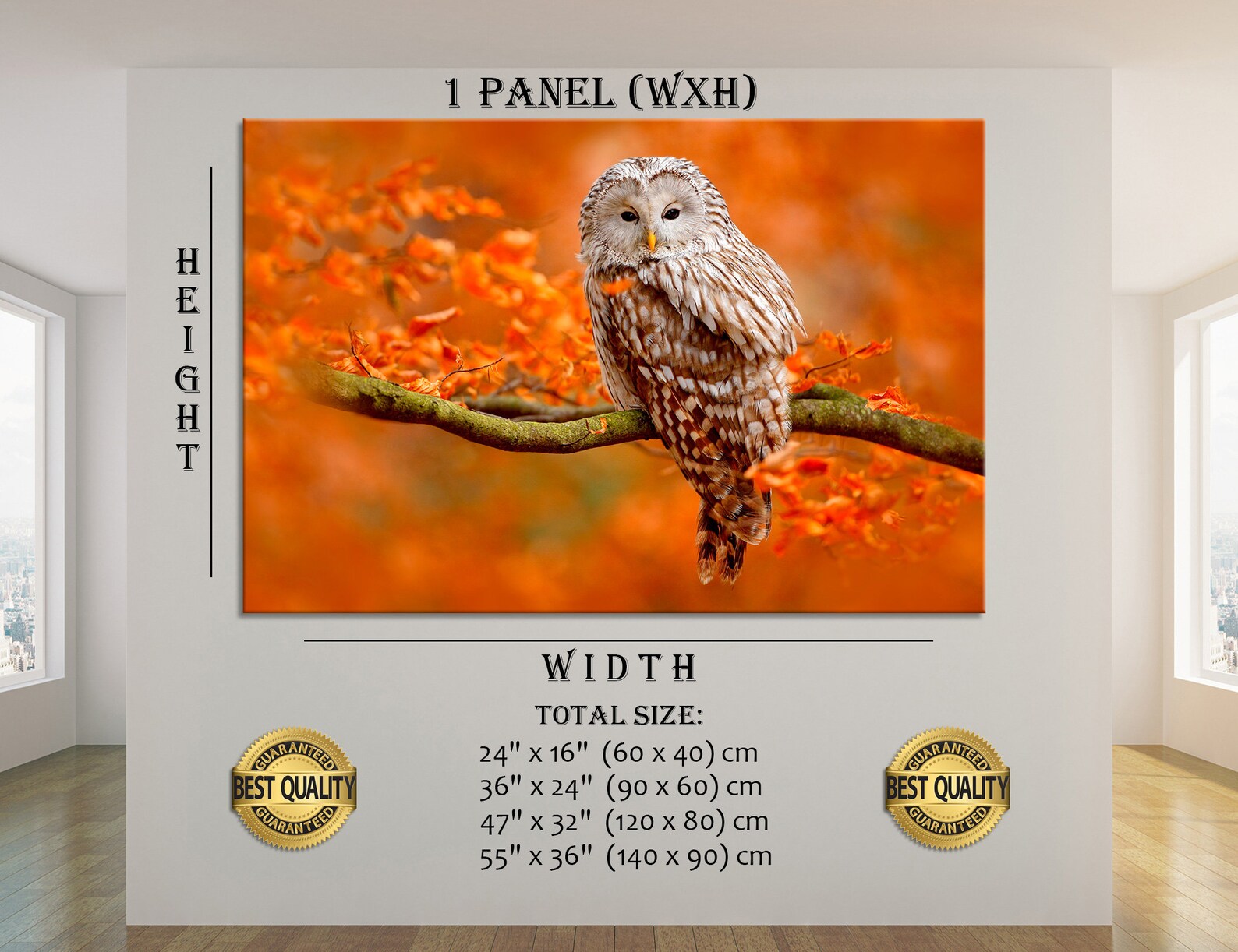 Colorful Photo of an Owl Wall Art Owl in the Wild Wall Decor Etsy