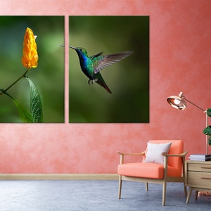 Colibri Wall Art - Exquisite Hummingbird Canvas Print for Large Wall Spaces