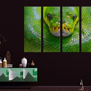 May include: A close-up of a green snake with yellow markings on its head. The snake is curled up on a green and brown background. The image is split into four panels.