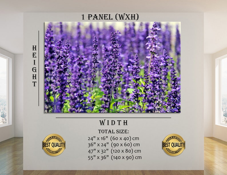 May include: A close-up photo of a field of purple lavender flowers. The image is for a 1 panel canvas print. The available sizes are 24x16 inches, 36x24 inches, 47x32 inches, and 55x36 inches.