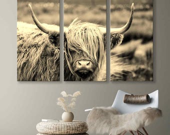 May include: A sepia toned photograph of a Highland cow with long, shaggy hair covering its face. The cow is standing in a field of grass.