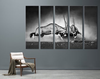 Two Gemsbok Antelopes Canvas Print Fight Wall Art Combat Wall Decor Wild Scene Print Art Wildlife Wall Art Decoration Wildlife Artwork Set