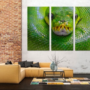 May include: A close-up of a green snake's head and body, with its scales visible. The snake is coiled up, and its eyes are open and staring directly at the viewer.
