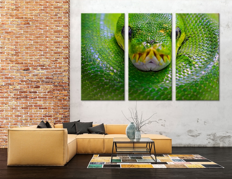 May include: A close-up of a green snake's head and body, with its scales visible. The snake is coiled up, and its eyes are open and staring directly at the viewer.