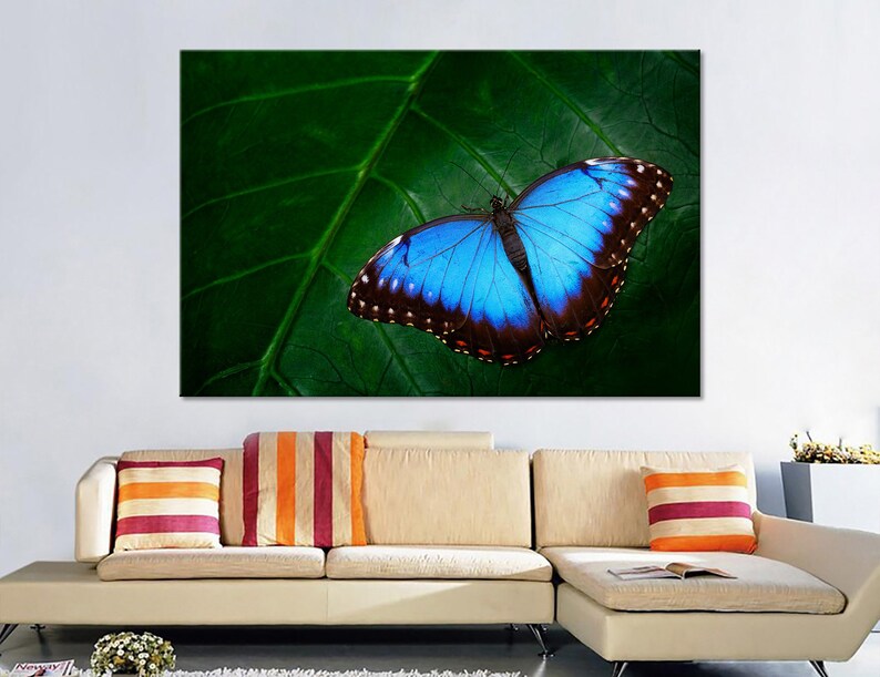 Blue Morpho Canvas Blue Butterfly Canvas Butterfly Print Etsy