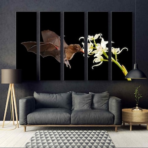 Flying Bat in Dark Night Wall Art - Extra Large Bat Canvas Print - Multi-Piece Bat Art - Wild Mammal Canvas Artwork