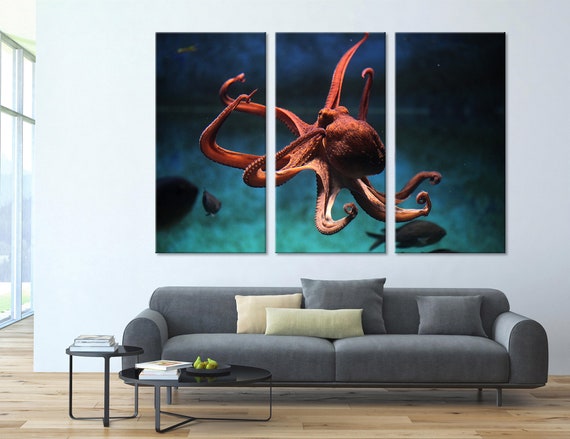 Common Octopus Orange Canvas Set Animal Wall Decor - Octopus Wall Decor Canvas Common Octopus Orange Canvas Set Animal Wall Decor - Octopus Wall Decor Canvas