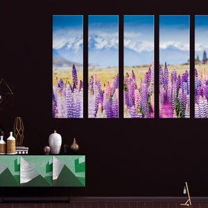May include: A panoramic photograph of a field of purple and pink lupin flowers in bloom. The flowers are in the foreground, with snow-capped mountains in the background. The sky is blue with white clouds.