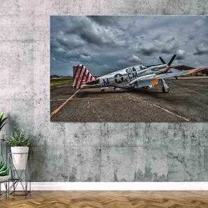 Puede incluir: Un avi&oacute;n de combate P-51 Mustang vintage, de color plateado, con marcas rojas, blancas y azules en la cola. El avi&oacute;n est&aacute; estacionado en una pista con un cielo nublado en el fondo.