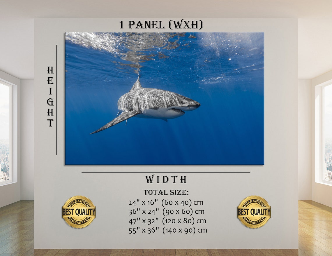 Shark Art Shark Canvas Shark Decor Shark Wall Decor Shark Wall Etsy