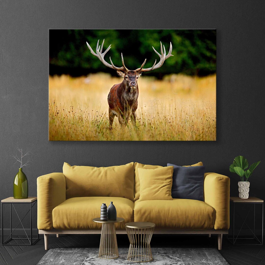Red Deer Canvas Print - Majestic Wildlife Wall Art - Red Deer Wall ...