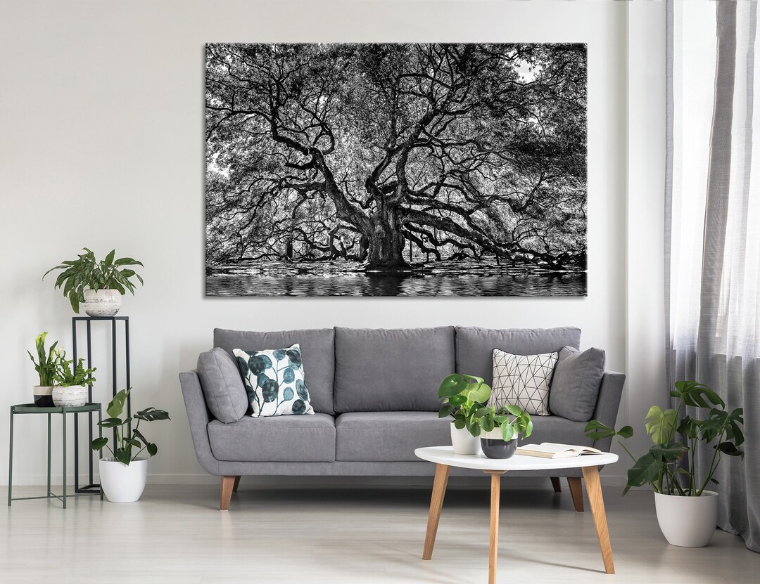 1000 Year Old Angel Oak Tree Canvas Print, Black and White Canvas
