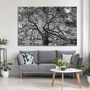 1000 Jahre alte Engels-Eiche Baum Leinwanddruck, Schwarz-Weiß-Leinwand, Kontrast B & W Foto, Eiche Baum Wandkunst