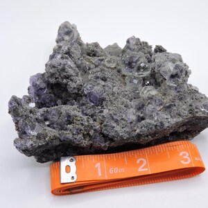 HUGE Fluorite Specimen on Matrix! image 19