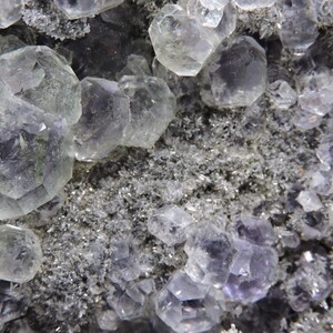 May include: A mineral specimen featuring clusters of translucent, pale purple and clear fluorite crystals with geometric, multifaceted shapes. The crystals are embedded in a textured, dark grey, granular matrix that fills the spaces between them.
