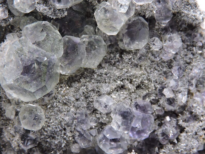 May include: A mineral specimen featuring clusters of translucent, pale purple and clear fluorite crystals with geometric, multifaceted shapes. The crystals are embedded in a textured, dark grey, granular matrix that fills the spaces between them.