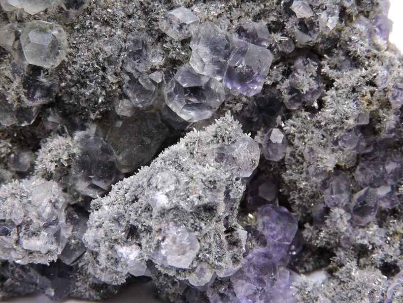 May include: A mineral specimen featuring clusters of translucent, light purple, cubic fluorite crystals embedded within a dark, textured, granular matrix. The surface is covered in fine, needle-like crystalline formations that contrast with the smooth, geometric facets of the purple fluorite.