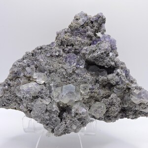May include: A raw mineral specimen featuring clusters of translucent, light purple cubic crystals embedded within a coarse, dark grey, textured matrix. The geological formation displays a jagged, irregular shape with visible crystal facets.