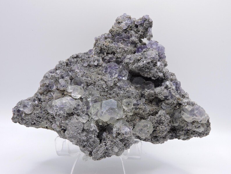 May include: A raw mineral specimen featuring clusters of translucent, light purple cubic crystals embedded within a coarse, dark grey, textured matrix. The geological formation displays a jagged, irregular shape with visible crystal facets.