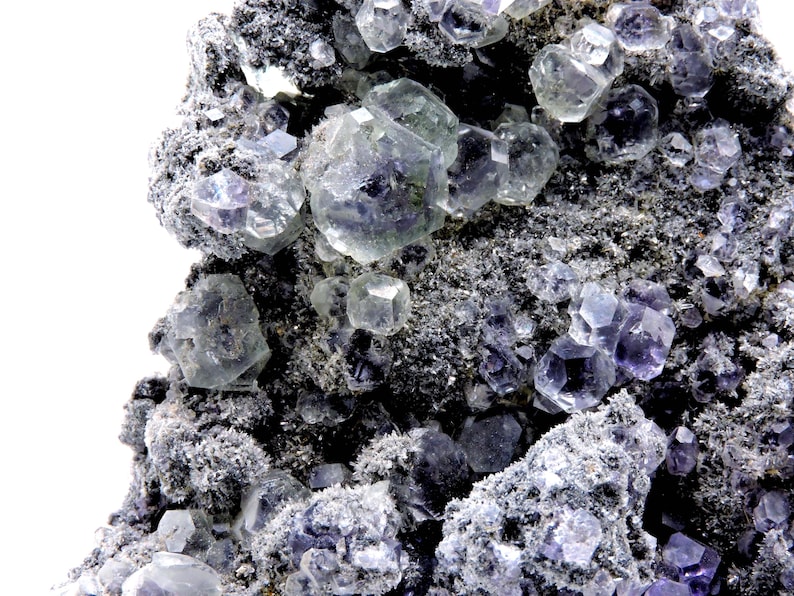 May include: A mineral specimen featuring clusters of translucent, purple-tinted cubic crystals embedded within a dark, rough, and granular matrix. The geometric crystal formations vary in size, displaying sharp edges and a glassy, reflective surface.