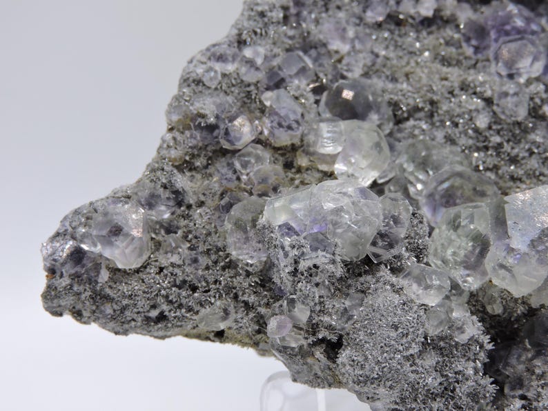 HUGE Fluorite Specimen on Matrix! image 13