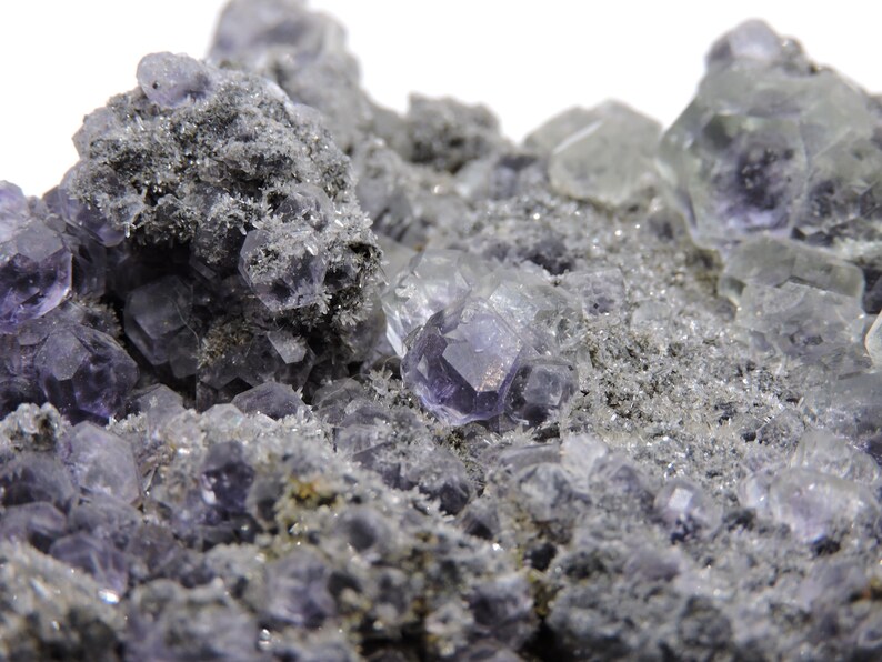May include: A mineral specimen featuring clusters of translucent, purple, cubic fluorite crystals embedded within a rough, grey, granular matrix. The crystalline structures exhibit geometric facets and varying levels of clarity across the surface.