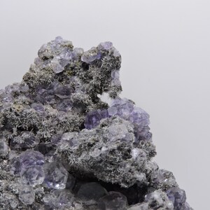 May include: A mineral specimen featuring clusters of translucent, light purple cubic crystals embedded within a rough, dark grey, textured matrix. The crystalline structure displays geometric facets and varying shades of violet throughout the formation.