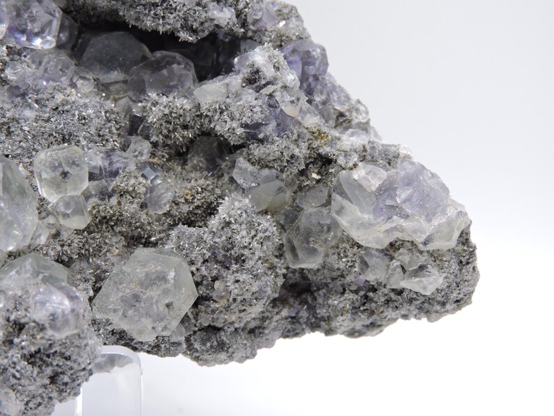 May include: A mineral specimen featuring translucent, pale purple cubic fluorite crystals embedded within a rough, dark grey, granular matrix. The cluster displays multiple geometric crystal formations with varying levels of clarity and light reflection.