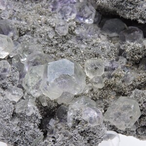 May include: A mineral specimen featuring translucent, pale purple cubic fluorite crystals embedded within a dark, textured, granular matrix. The cluster displays multiple geometric crystal formations with varying degrees of clarity and light reflection.