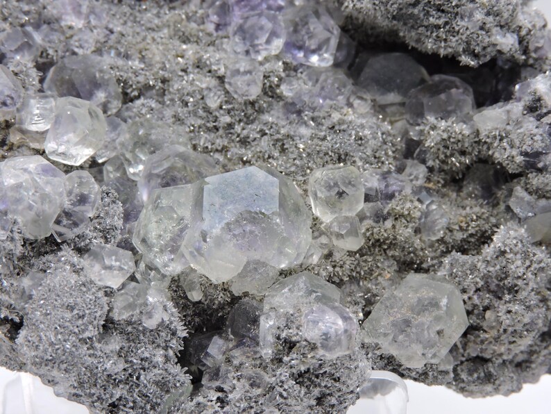 May include: A mineral specimen featuring translucent, pale purple cubic fluorite crystals embedded within a dark, textured, granular matrix. The cluster displays multiple geometric crystal formations with varying degrees of clarity and light reflection.