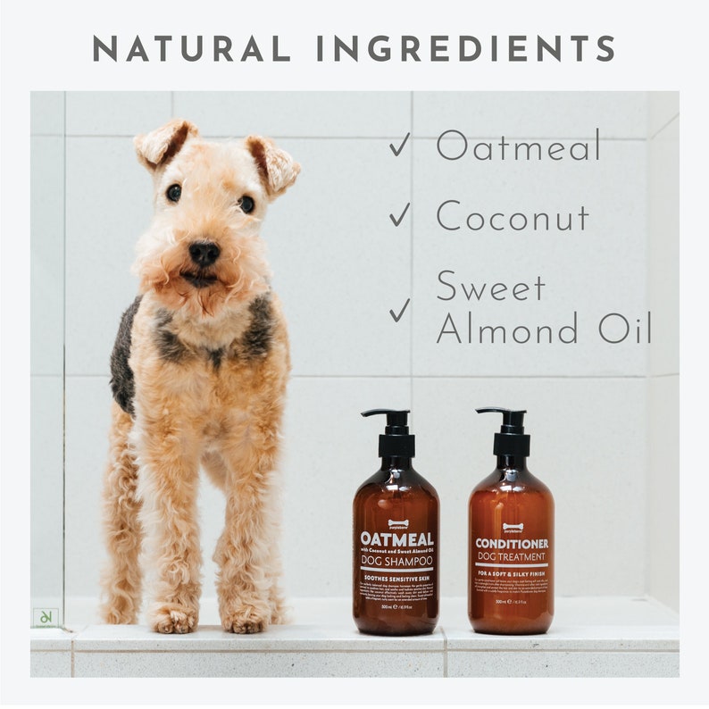Coconut Oatmeal Almond Dog Shampoo 500ml Soothe Sensitive Etsy