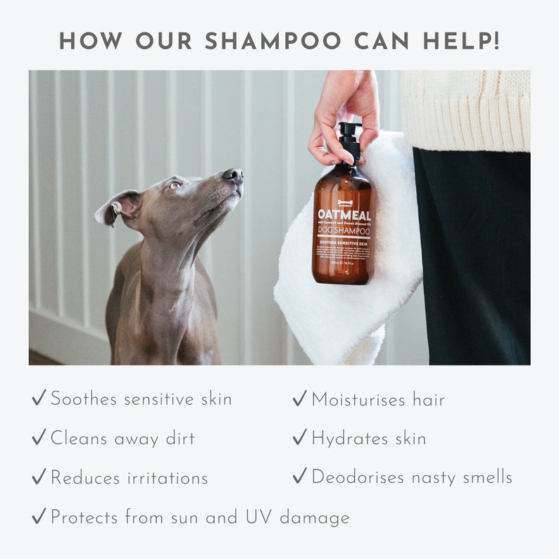 shampoo de coco para perros