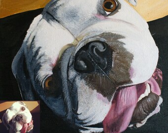 Custom Pet Portrait / Acrylic / Custom Pet Painting / Painting / Original Painting / Pet Collectibles / Pet Loss