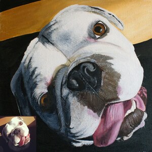 Custom Pet Portrait / Acrylic / Custom Pet Painting / Painting / Original Painting / Pet Collectibles / Pet Loss