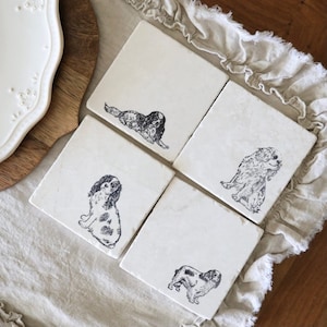 Posavasos de King Charles Spaniel, juego de posavasos de mármol con forma de perro.