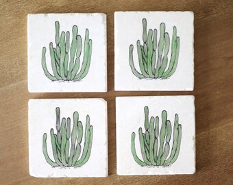 Organ Pipe Cactus Coaster/ cactus gift/ cactus home decor/ southwestern decor/ Arizona gift/ desert decor/ drink coasters/ stone coasters