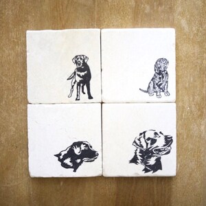 May include: Four white square coasters with black silhouette images of Labrador Retrievers. Each coaster features a different pose of the dog.